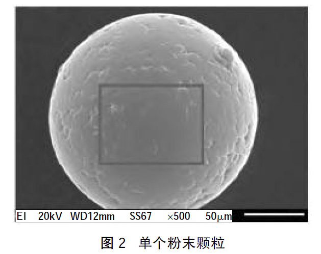 1660661194436136.jpg